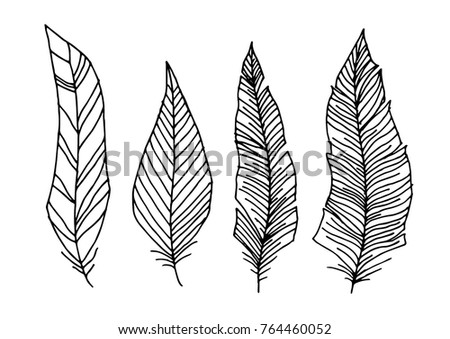 Set of Hand drawn Feathers on white bachground. Useless for Sticker, Pattern, Coloring, Ethnic Design and other. Girly or Boho Stuff.