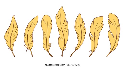 Set of hand drawn feathers. Vector illustration