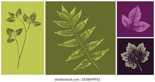 Set of hand drawn fern leaf botanical prints on various color swatches. Plant and flower art for card design or invitation.