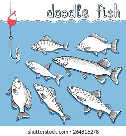 Set of hand drawn fish