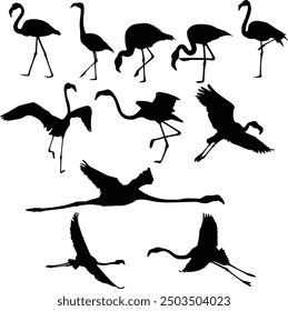 Set of hand drawn flamingo silhouette illustration in full body