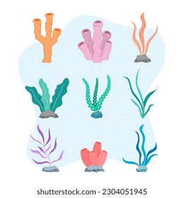 Set of hand drawn flat coral reefs collection