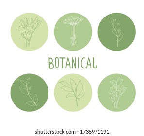 Set Of The Hand Drawn Flora Elements. Vector Illustration.Line Icon. Flower Logo Element. Natural Instagram Story. Instagram Story Highlight Icon.