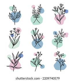 Set of hand drawn floral botanical elements