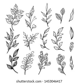 Set of Hand Drawn Floral Branches and Leaves Elements on White Background. Decorative Elements for Decoration