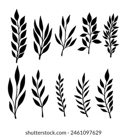 Set of hand drawn floral branches. Design element for decoration. Vector illustration