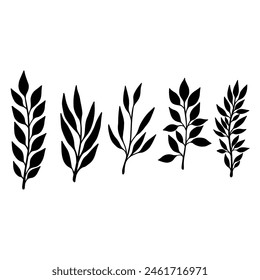 Set of hand drawn floral branches. Design element for decoration. Vector illustration