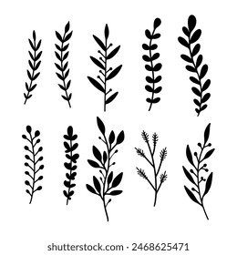 Set of hand drawn floral branches. Design element for decoration. Vector illustration