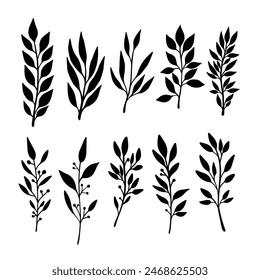 Set of hand drawn floral branches. Design element for decoration. Vector illustration