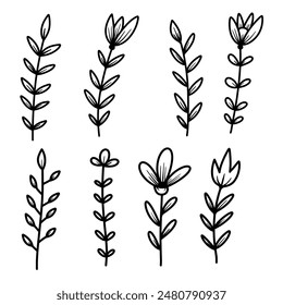Set of hand drawn floral branches. Design element for decoration. Vector illustration
