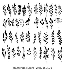 Conjunto de ramas florales dibujadas a mano. Elemento de diseño para la decoración. Ilustración vectorial