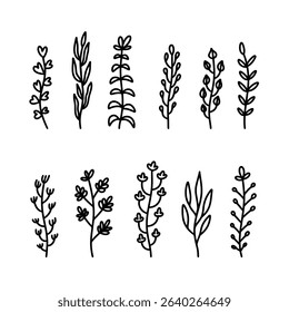 Set of hand drawn floral branches. Design element for decoration. Vector illustration