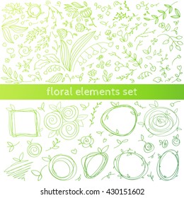 set of hand drawn floral decor elements.