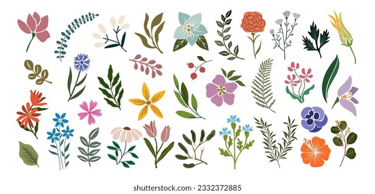 Conjunto de elementos de diseño floral dibujados a mano, formas abstractas. Flores silvestres y de jardín, hojas. Ilustraciones modernas de arte botánico vectorial en colores de moda aisladas en fondo blanco