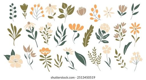 Conjunto de Elementos de diseño florales dibujados a mano, Formas abstractas. Flores silvestres y de jardín, hojas. Ilustraciones de arte botánico de Vector moderno contemporáneo en colores cálidos de otoño aislados sobre fondo blanco.