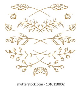 Set of hand drawn floral elements on a white background