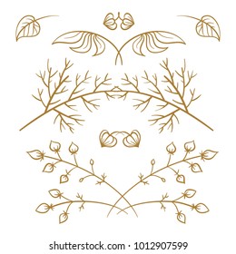 Set of hand drawn floral elements on a white background