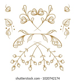 Set of hand drawn floral elements on a white background