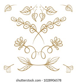 Set of hand drawn floral elements on a white background