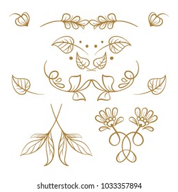 Set of hand drawn floral elements on a white background