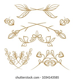Set of hand drawn floral elements on a white background
