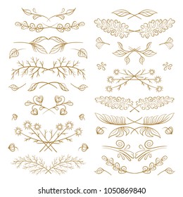 Set of hand drawn floral elements on a white background