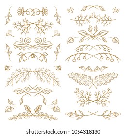 Set of hand drawn floral elements on a white background