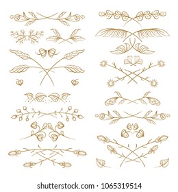 Set of hand drawn floral elements on a white background