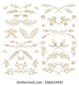 Set of hand drawn floral elements on a white background