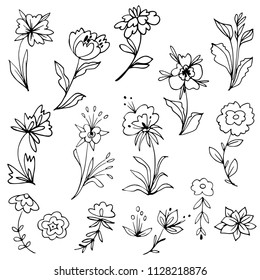 Set of hand drawn floral elements for cards, prints, textile, logo, tattoo design. Black and white botanical collection. Vector illustration.