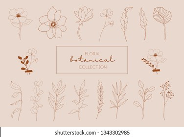 A set of hand drawn floral elements in beige, brown and white. Pastel colors. Brunches, leaves, botanicals. Vector illustration.
