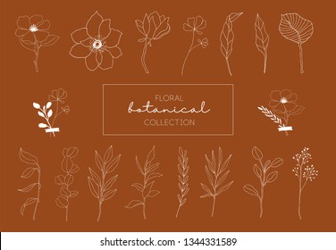 A set of hand drawn floral elements in beige, brown and white. Pastel colors. Brunches, leaves, botanicals. Vector illustration.