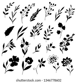 Set of hand drawn floral elements for wreaths, frames. borders, bouquets. Black and white botanical drawings. Vector illustration.