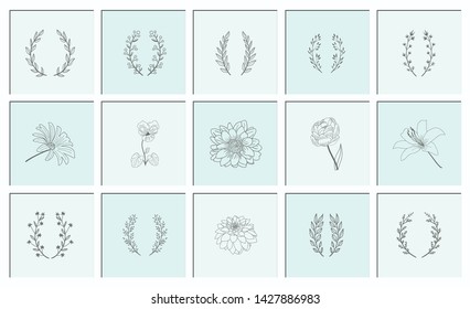 Set of Hand Drawn Floral Elements Vector