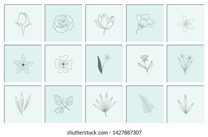 Set of Hand Drawn Floral Elements Vector