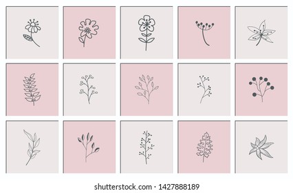Set of Hand Drawn Floral Elements Vector