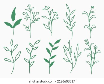 set of hand drawn floral elements