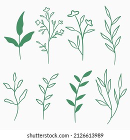 set of hand drawn floral elements