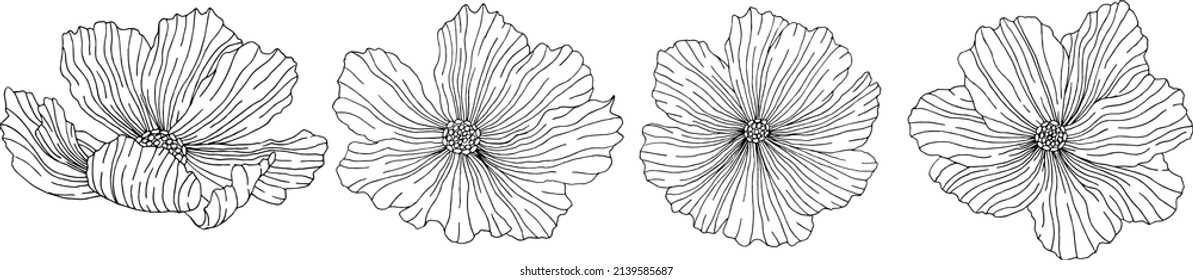 Set of hand drawn floral elements, plants and flowers. Isolated flowers on a white background. Sketchy floral elements. Set in Linear style. Line art.