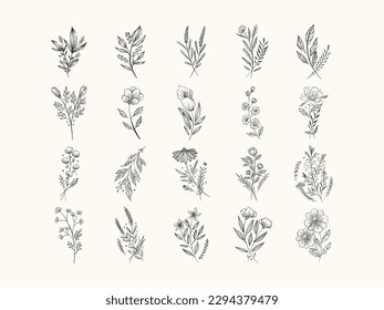 set of Hand drawn floral elements. botanical rustic natural  for wedding card ornamental