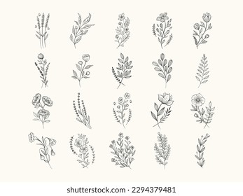 set of Hand drawn floral elements. botanical rustic natural  for wedding card ornamental