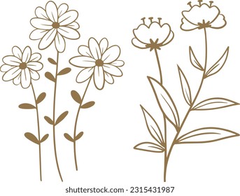 Set handgezeichnet, florale Elemente einzeln auf weißem Hintergrund. Vektorgrafik.