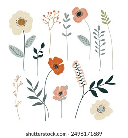Set of hand drawn floral elements. Vector illustration for your design.
