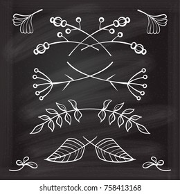 Set of hand drawn floral elements on the chalkboard.