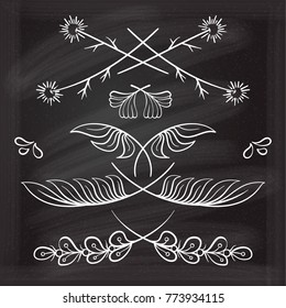 Set of hand drawn floral elements on the chalkboard.
