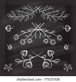 Set of hand drawn floral elements on the chalkboard.
