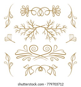 Set of hand drawn floral elements on a white background