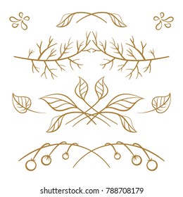Set of hand drawn floral elements on a white background