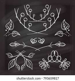 Set of hand drawn floral elements on the chalkboard.