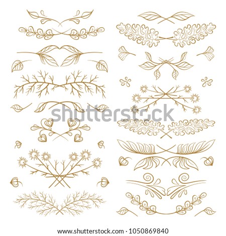 Set of hand drawn floral elements on a white background
